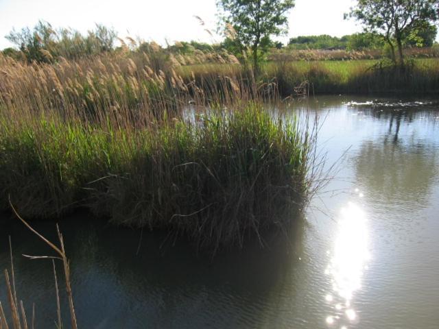 Vias Plage - Maison De Vacances Zewnętrze zdjęcie